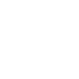 A white background with subtle texture.