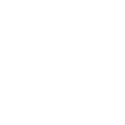 A completely white image with no visible content or details.